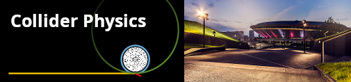 Collider Physics